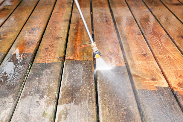 Best Local Pressure Washing Services  in Newk, AR